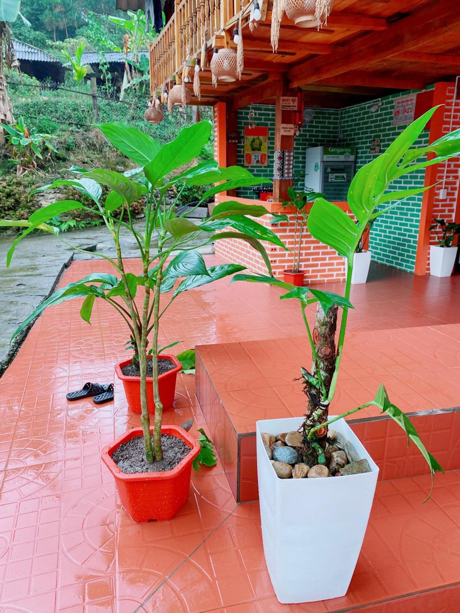 Duy Homestay Du Gia Lang Cac Exterior foto